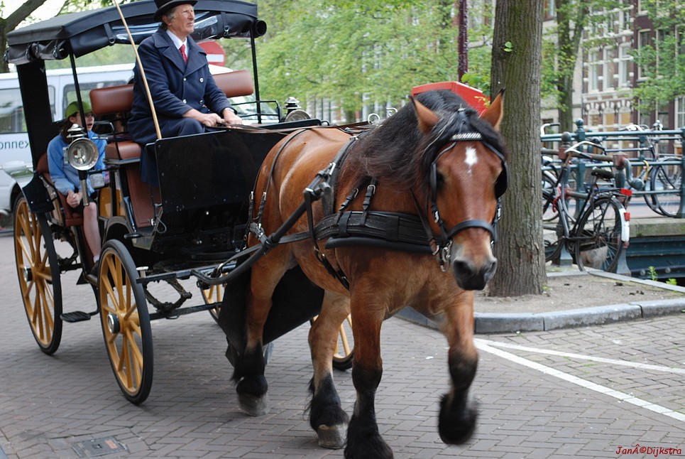 dsc_0127.jpg