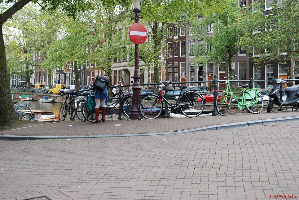 dsc_0130.jpg