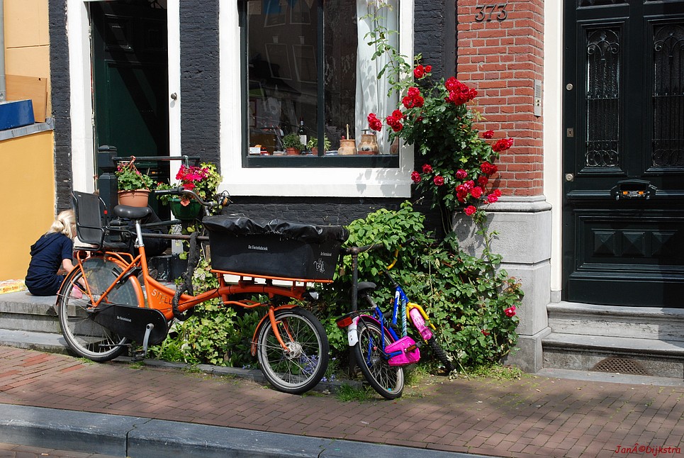 dsc_0149.jpg