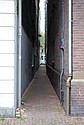 dsc_0123.jpg