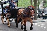 dsc_0127.jpg