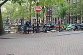 dsc_0130.jpg