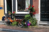 dsc_0149.jpg