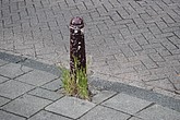 dsc_0178.jpg
