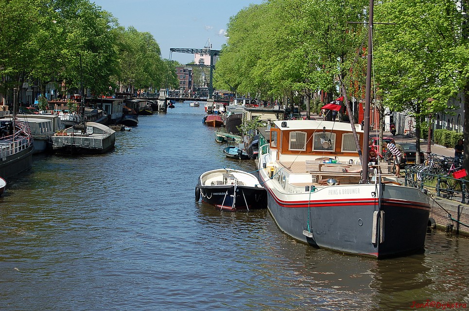DSC_0003.JPG