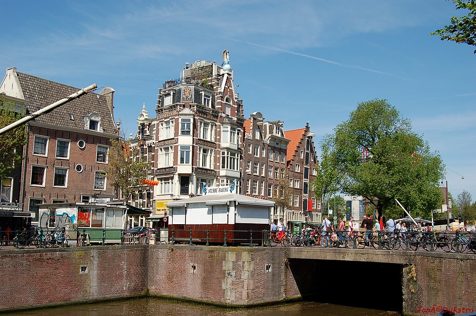 DSC_0007.JPG