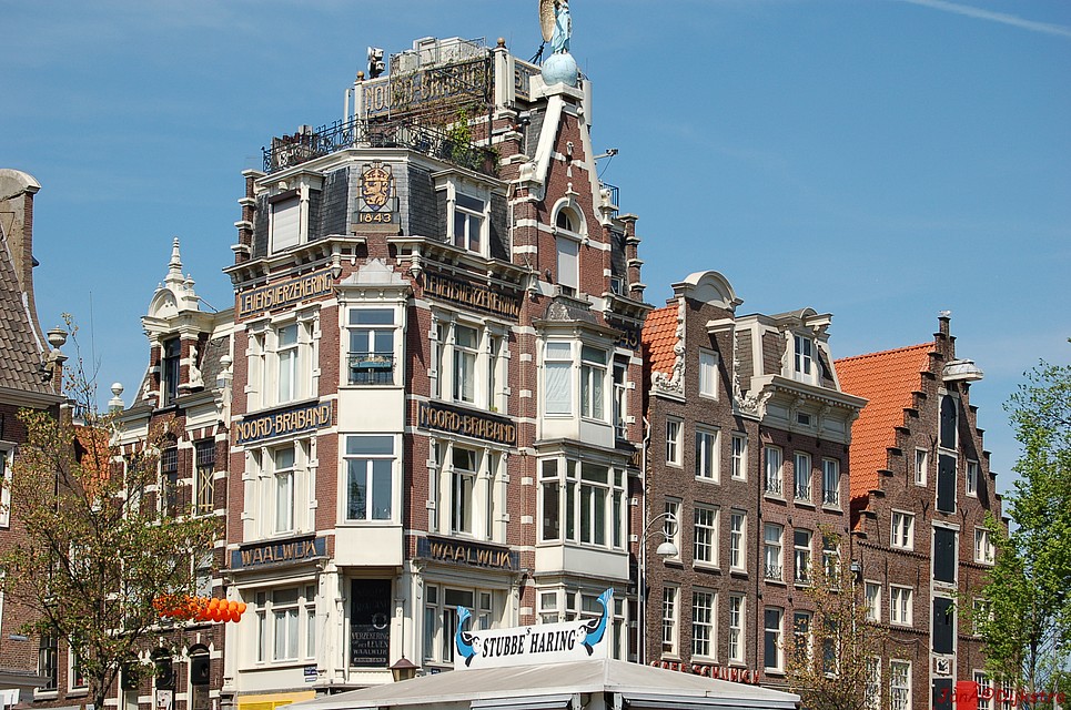 DSC_0008.JPG