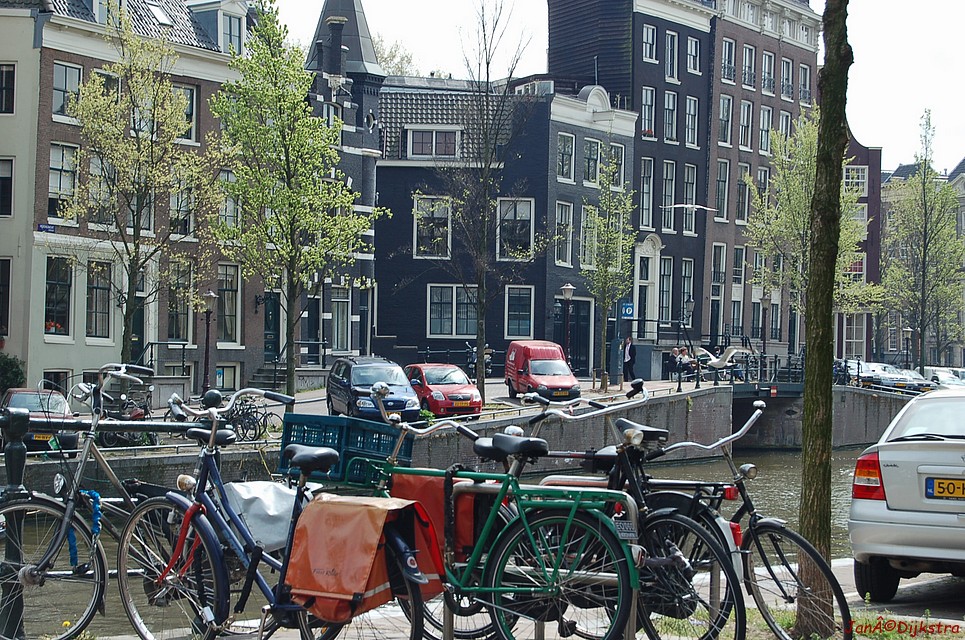 DSC_0049.JPG