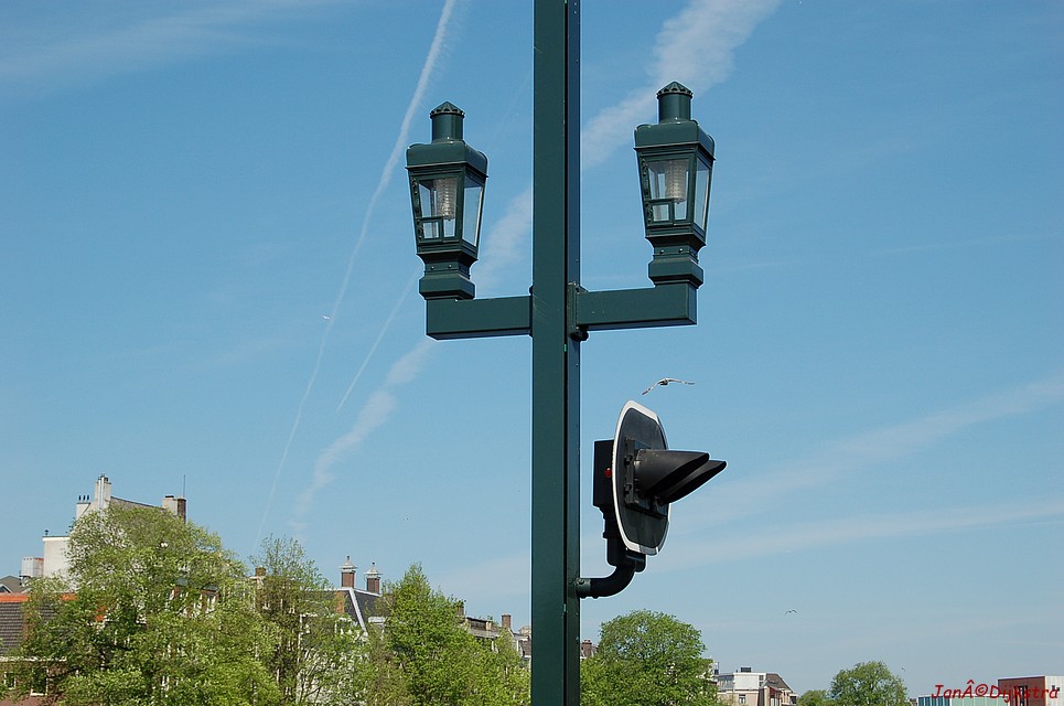 DSC_0063.JPG