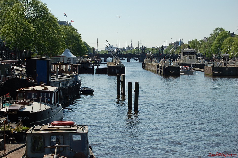 DSC_0065.JPG