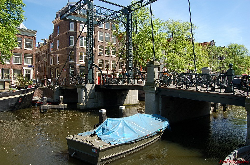 DSC_0069.JPG