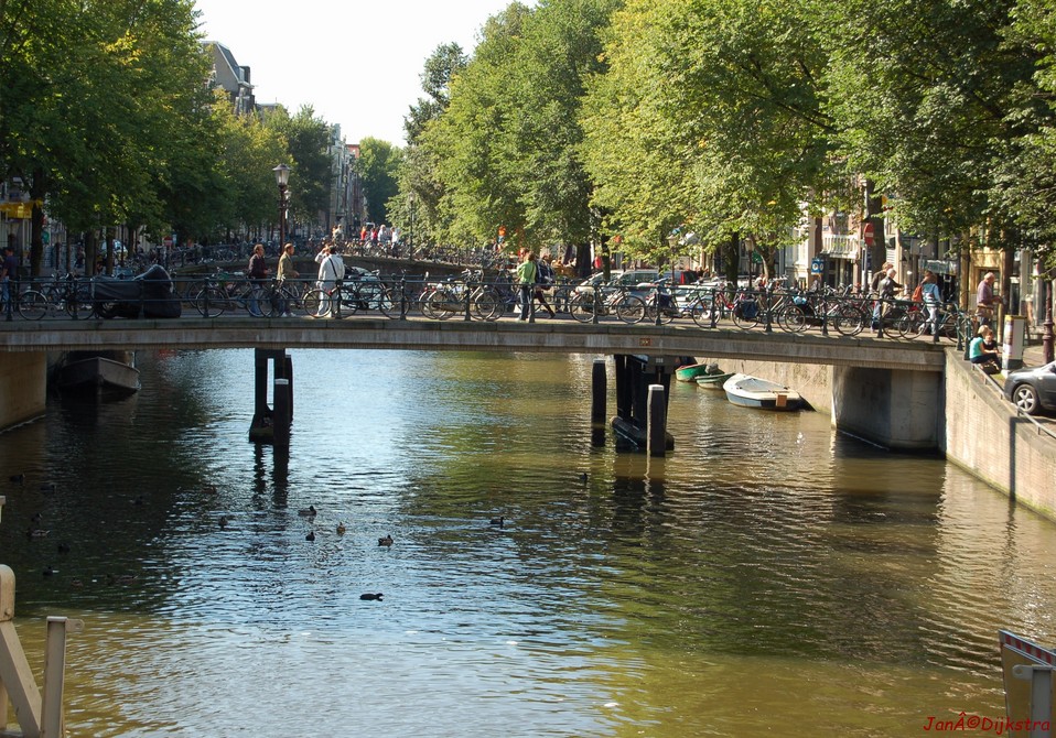 dsc_0040.jpg
