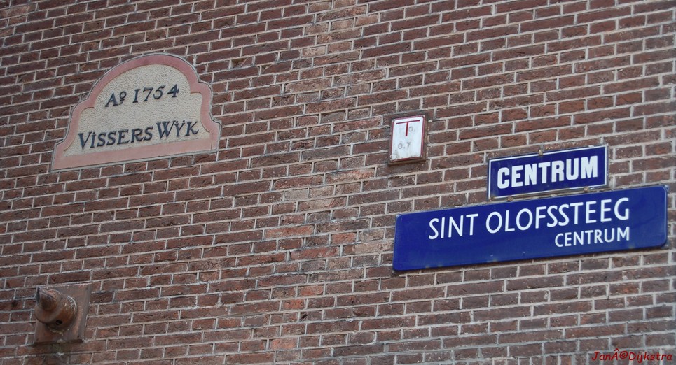 dsc_0042.jpg