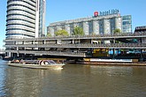 dsc_0010.jpg