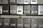 dsc_0064.jpg