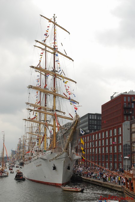 dsc_0089.jpg