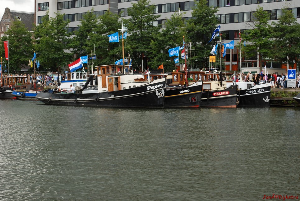 dsc_0137.jpg