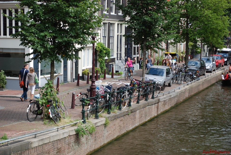 dsc_0143.jpg