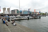 dsc_0002.jpg