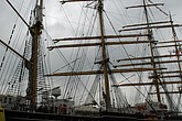 dsc_0006_01.jpg