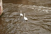 dsc_0178.jpg