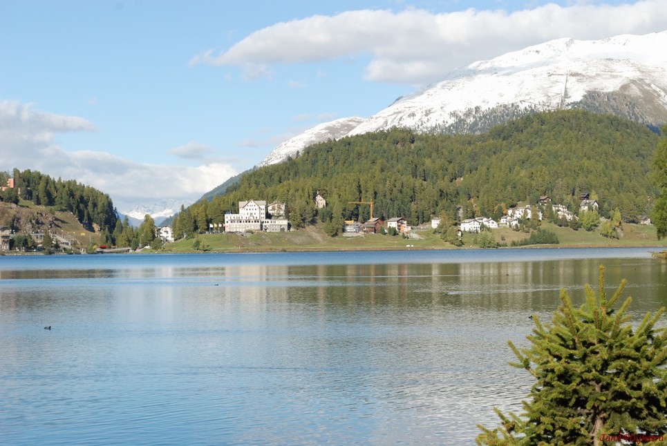 DSC_0413.JPG