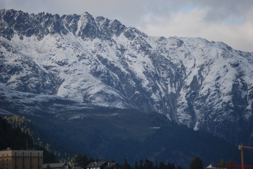 DSC_0423.JPG