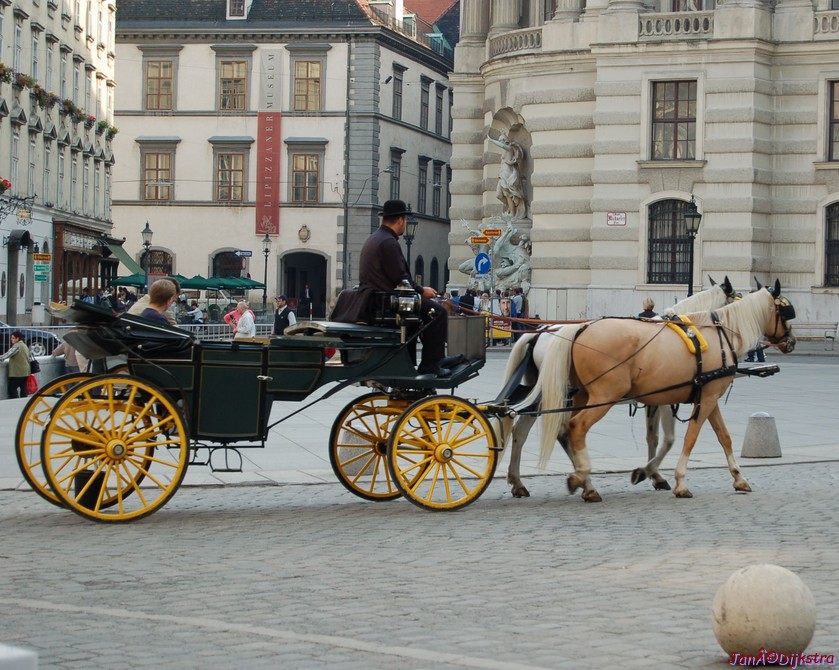DSC_0111-1.jpg