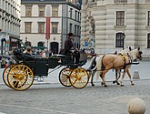 DSC_0111-1.jpg