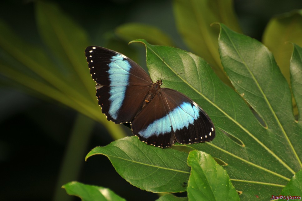 DSC_1162.JPG