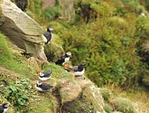 DSC_9642.JPG