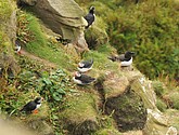 DSC_9643.JPG