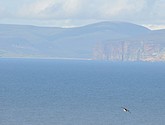 DSC_9648.JPG