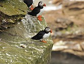 DSC_9657.JPG