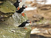 DSC_9658.JPG