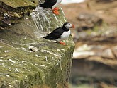 DSC_9659.JPG