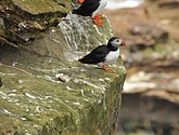 DSC_9660.JPG