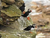 DSC_9663.JPG