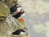 DSC_9664.JPG