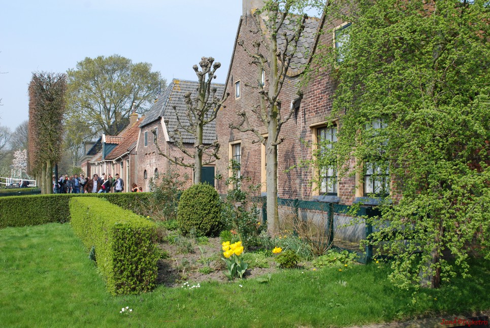 dsc_0063.jpg
