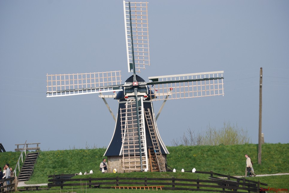 dsc_0211.jpg