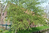 dsc_0062.jpg