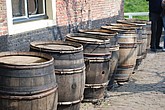 dsc_0155.jpg