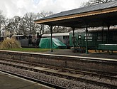 DSC_0589.JPG