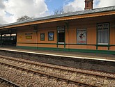 DSC_0610.JPG